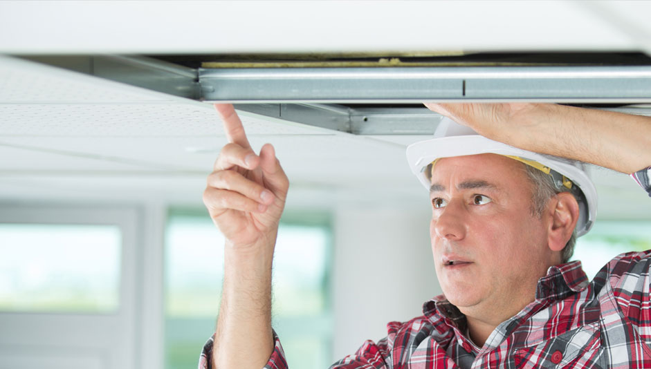 commercial-mold-remediation-pottstown-pa
